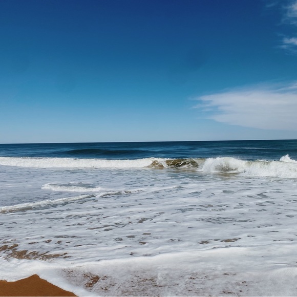 Meet your Posher, Alana - Picture 9 of 9